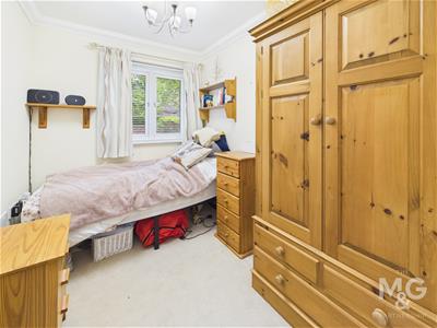 Picture 11